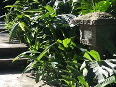 -广州兰圃