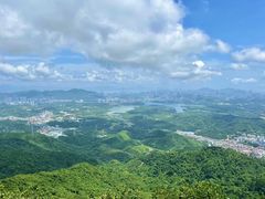 -阳台山森林公园