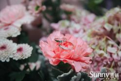 -Sunny喜铺婚礼策划(东部店)