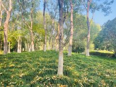 -杭州城北体育公园