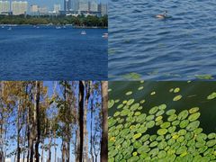 -长春市南湖公园