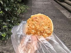 -王天顺海苔饼