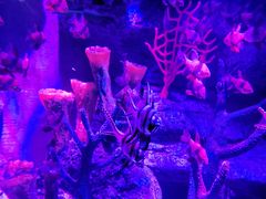 -沈阳海洋探索中心