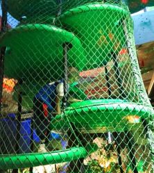 -恐龙探索乐园(磁器口店)