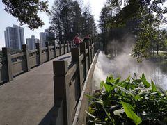 -四海公园(南山区)