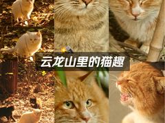 -云龙山