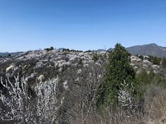 -白水寺森林公园