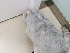-宠福鑫康馨动物医院·骨科·眼科