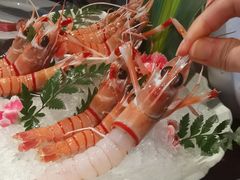 -Mr.Fish鱼鲜生海鲜放题(高德置地冬广场店)