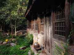 -巴依老爷新疆美食(望京小街店)