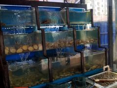 水产区-老东镇啤酒屋海鲜加工·蒸汽海鲜·海鲜烧烤(台东店)