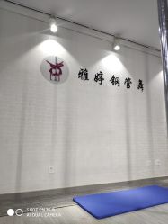 -柯宏＆雅婷塑形钢管舞蹈