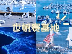 -山东八大碗山东老字号