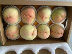 -老袁家蜜桃农场·阳山水蜜桃