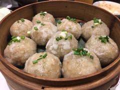 葛粉圆子-耿福兴(凤凰美食街店)