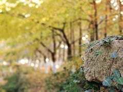 -白马涧龙池景区