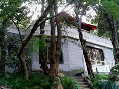 -叶家花园
