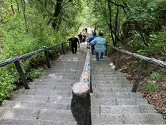 -茅兰沟国家森林公园