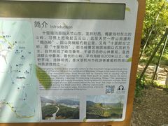 -十里琅珰