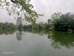 -西溪国家湿地公园