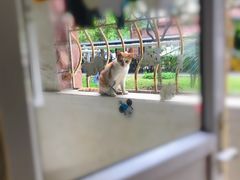 -上海市松江区中心医院