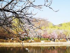-国家植物园