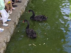 -西安秦岭野生动物园