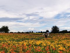 -汉长安城未央宫国家考古遗址公园