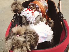 -林妈妈村·日式料理(宝山龙湖天街店)