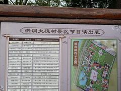 -大槐树寻根祭祖园