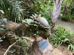 -呀路古热带植物园