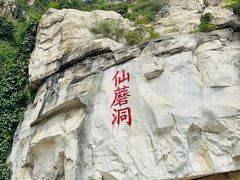 -仙蘑洞