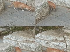 -抱犊寨风景区