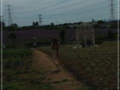 -紫颐香薰山谷景区