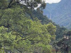 -龙湾潭国家森林公园