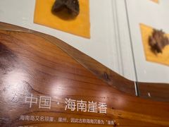 -中国沉香文化博物馆