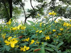 -上海市保健医疗中心(华东疗养院)