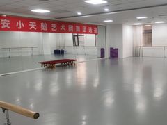 -西安小天鹅艺术团(金花路校区)