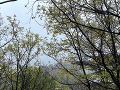 -妙峰山风景名胜区