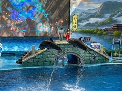 -海合安成都极地海洋公园