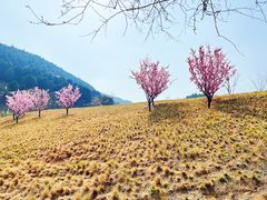 -龙洞风景区-藏龙涧