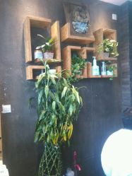 android_upload_pic-木北造型