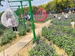 -广东花都香草世界旅游度假区