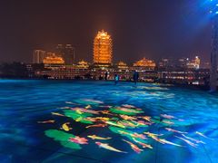 -眉山湿地公园(东坡区)