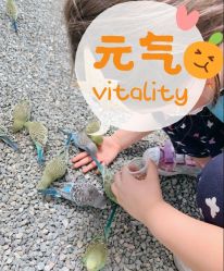 -萌宠亲子动物乐园(槐房万达店)