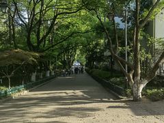 -杭州半山国家森林公园