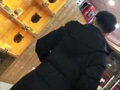 -喵百万·布偶·蓝金金渐层英短·猫舍(百子湾店)