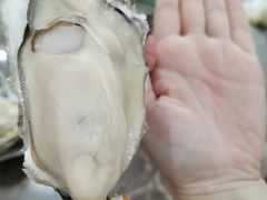生蚝-蚝专家(北滘店)