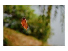 -艾溪湖湿地公园