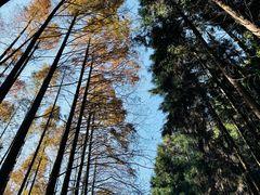 -山王坪喀斯特国家生态公园